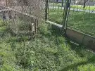 Pest megye - Zsámbék