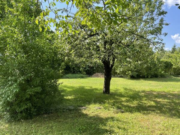 eladó  Építési telek, Budakeszi