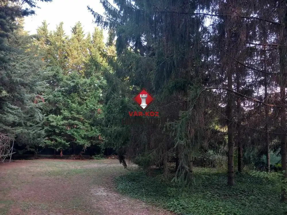 Pest megye - Budakeszi
