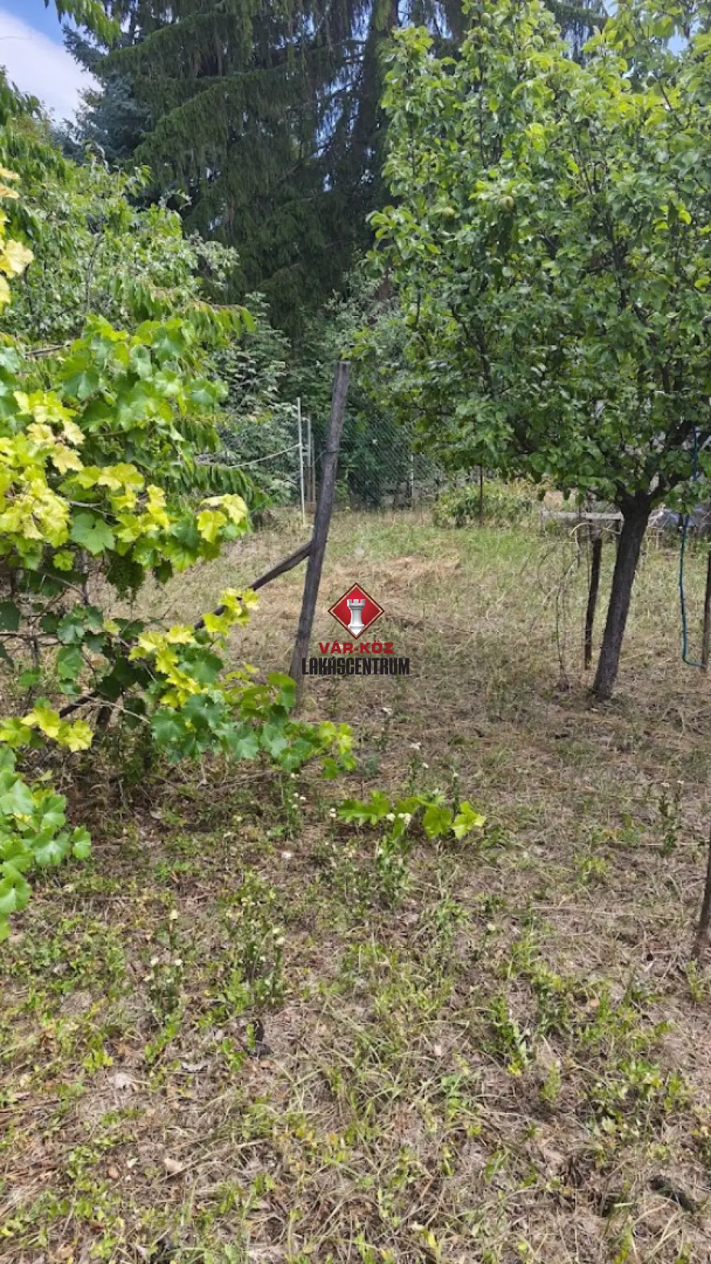 Pest megye - Budakeszi