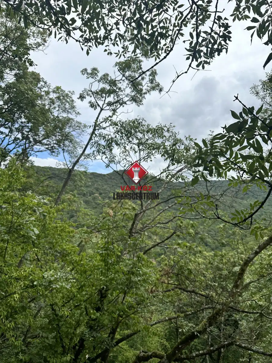 eladó  Ipari és kereskedelmi telek, Törökbálint eladó  Ipari és kereskedelmi telek, Törökbálint