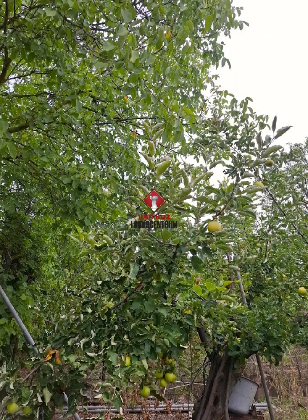 Pest megye - Biatorbágy