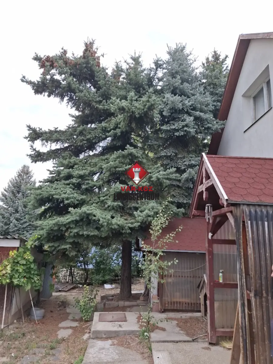 eladó nyaraló, Biatorbágy