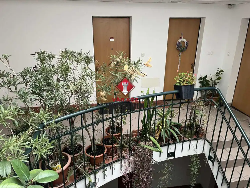 Budapest, IX. kerület - Rehabilitációs terület