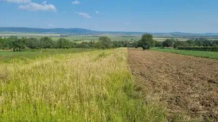 eladó telek, Tök
