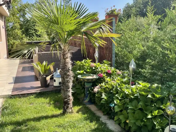 Eladó újszerű családi ház, Budapest, II. kerület 5+1 szoba 360 m² 350 M Ft